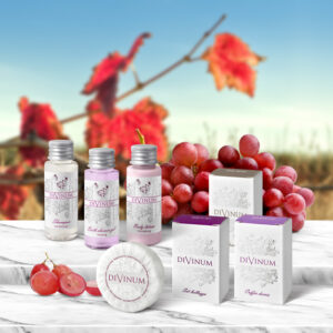 DIVINUM HOTEL AMENITIES