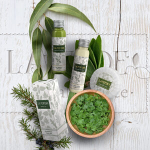 LAVERDE HOTEL AMENITIES