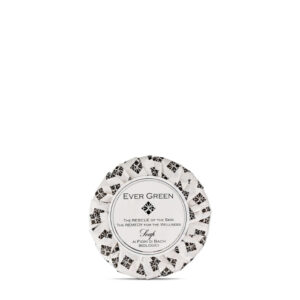 ΣΑΠΟΥΝΙ ΛΑΧΑΝΙΚΩΝ 40 gr evergreen vip